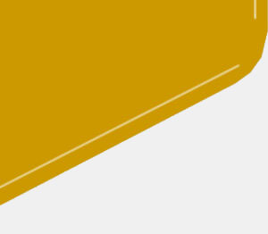 bottom-sife-300x2621